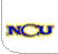 Northern Caribbean University Group